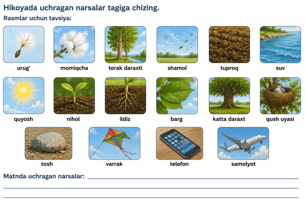 Yangi so'zlar